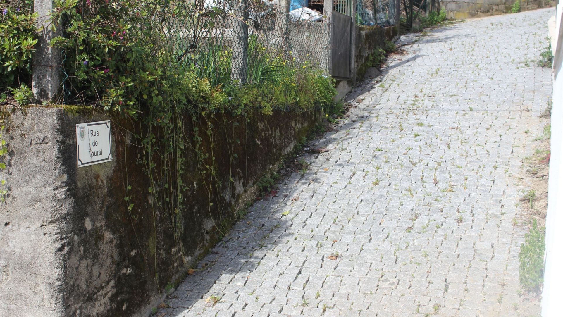 Obras na Rua do Toural