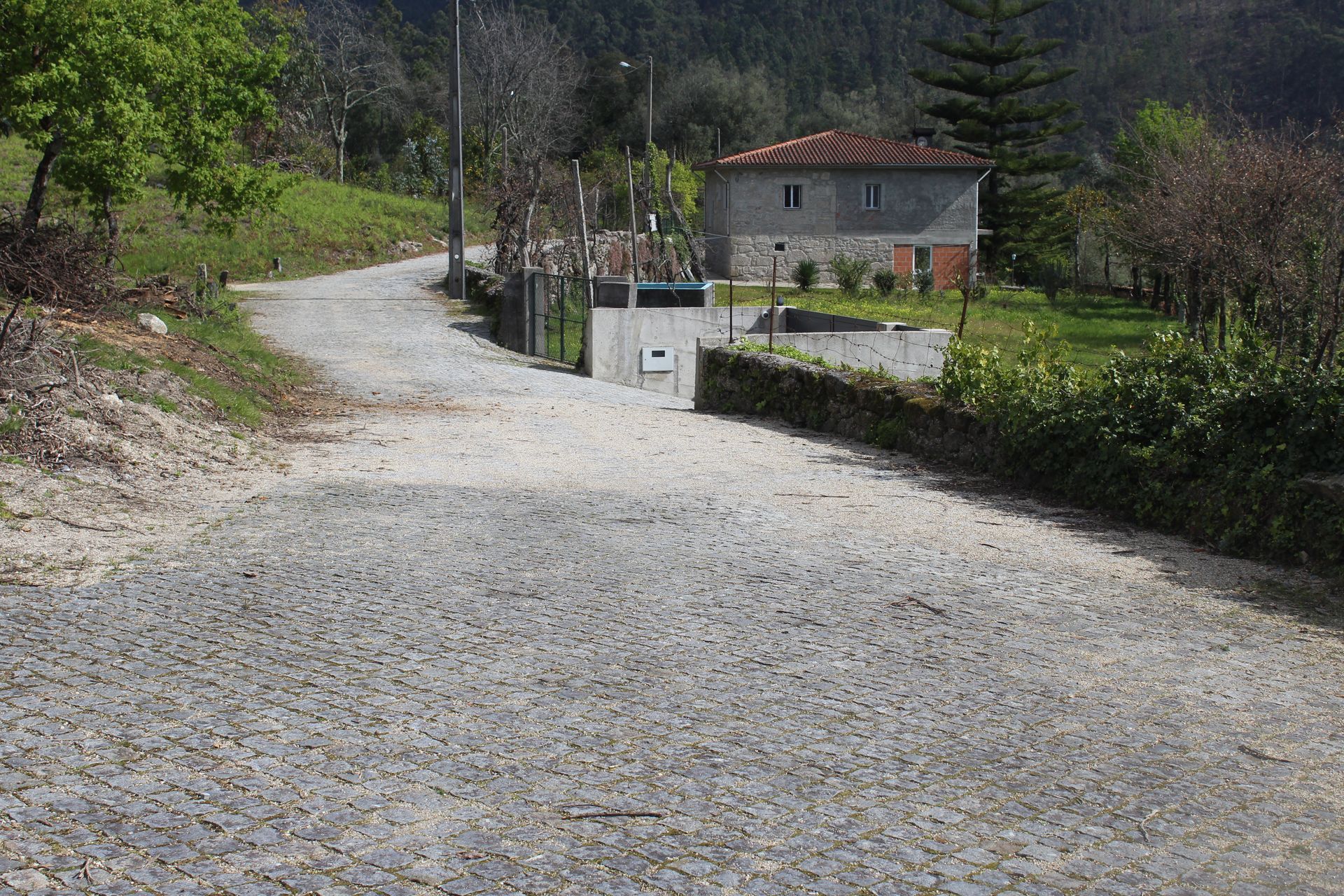 Remoção de Sobreiros e reparação de Pavimento